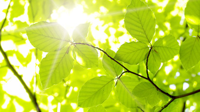 マインドセットとは水田に水を引くための水路をつくることです。